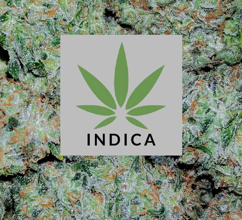 indica cannabis strain colin OG weed available in southern maine